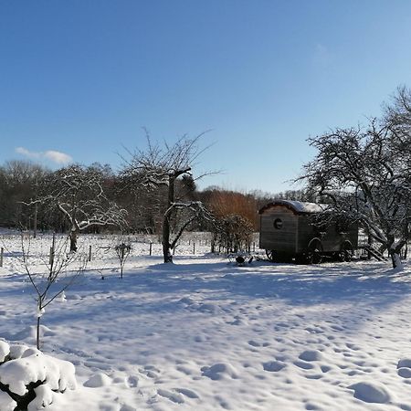 Roulotte Le Temps De Rever Bed and Breakfast Saint-Michel-sur-Meurthe Esterno foto