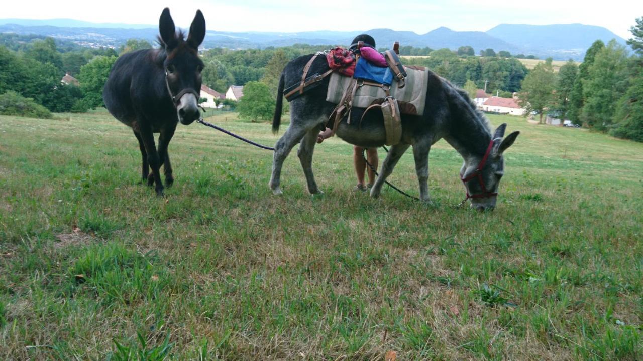 Roulotte Le Temps De Rever Bed and Breakfast Saint-Michel-sur-Meurthe Esterno foto