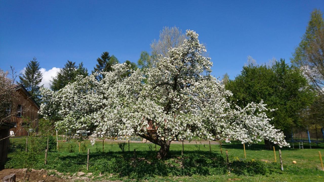 Roulotte Le Temps De Rever Bed and Breakfast Saint-Michel-sur-Meurthe Esterno foto