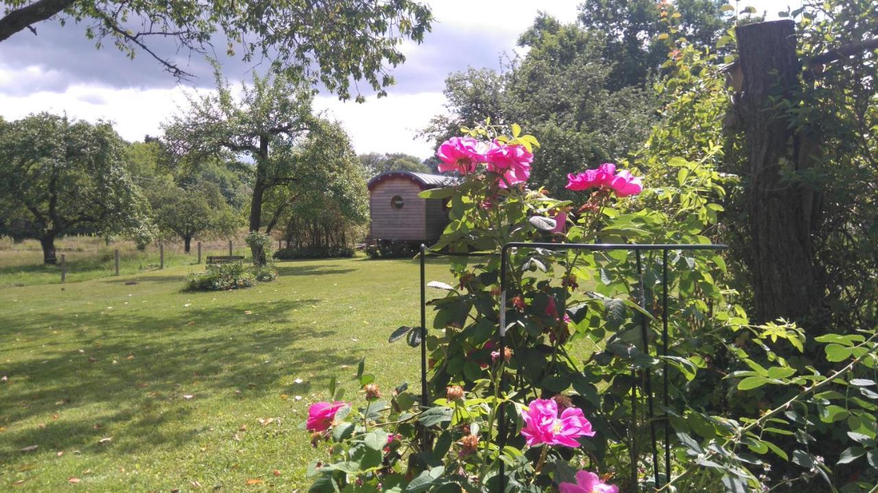 Roulotte Le Temps De Rever Bed and Breakfast Saint-Michel-sur-Meurthe Esterno foto