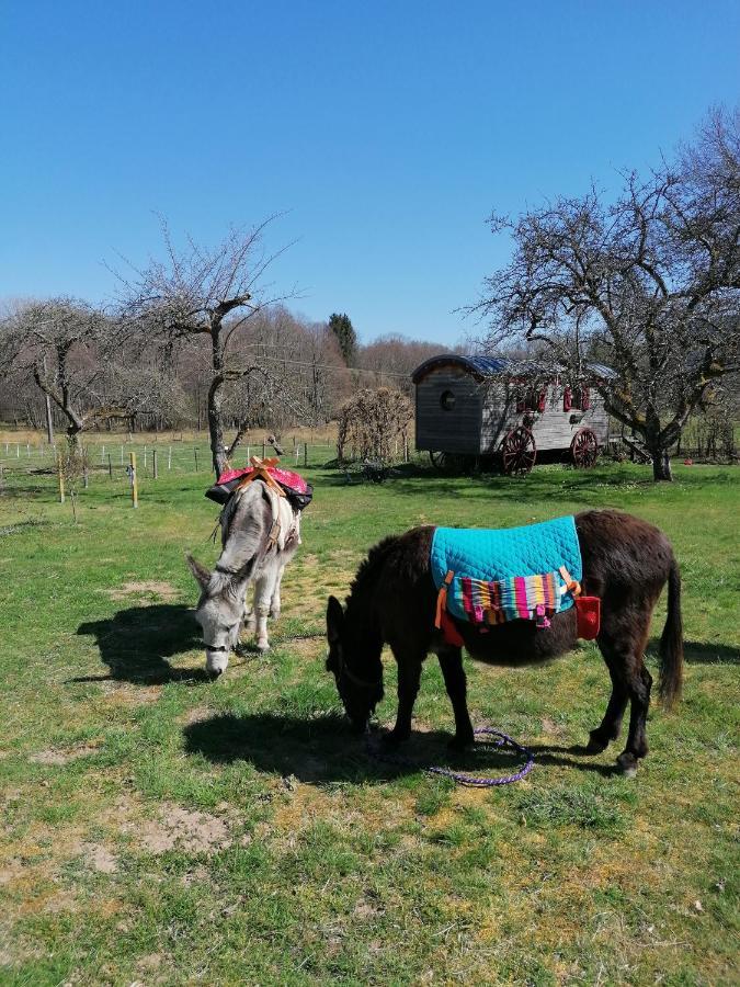 Roulotte Le Temps De Rever Bed and Breakfast Saint-Michel-sur-Meurthe Esterno foto